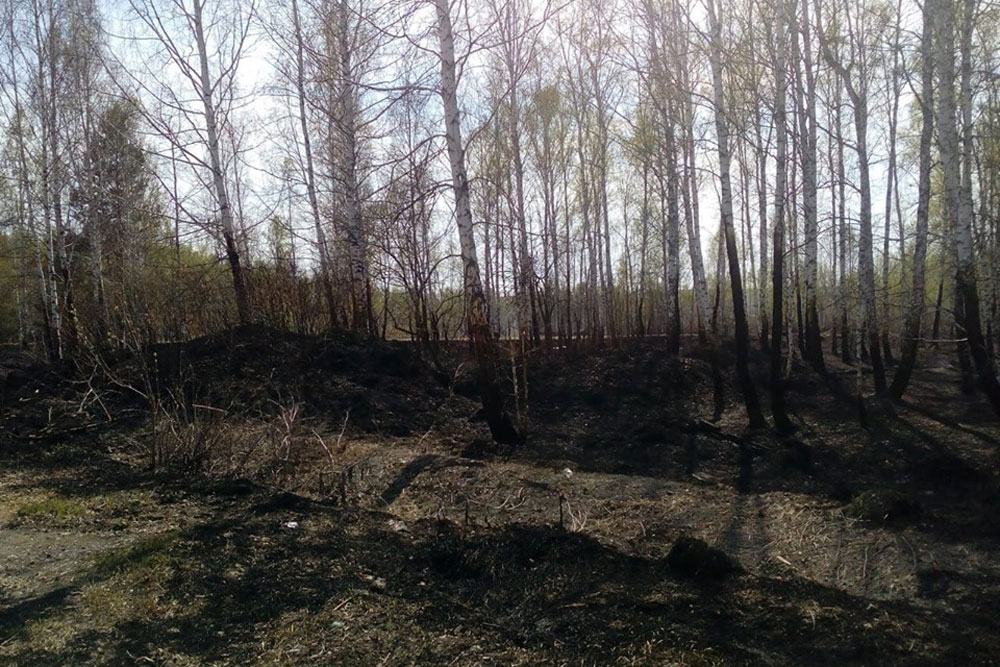 Ведра, багры, топоры есть? Огнеборцы ходят по частным домам Каменска-Уральского — готовы оштрафовать за нарушение противопожарных правил