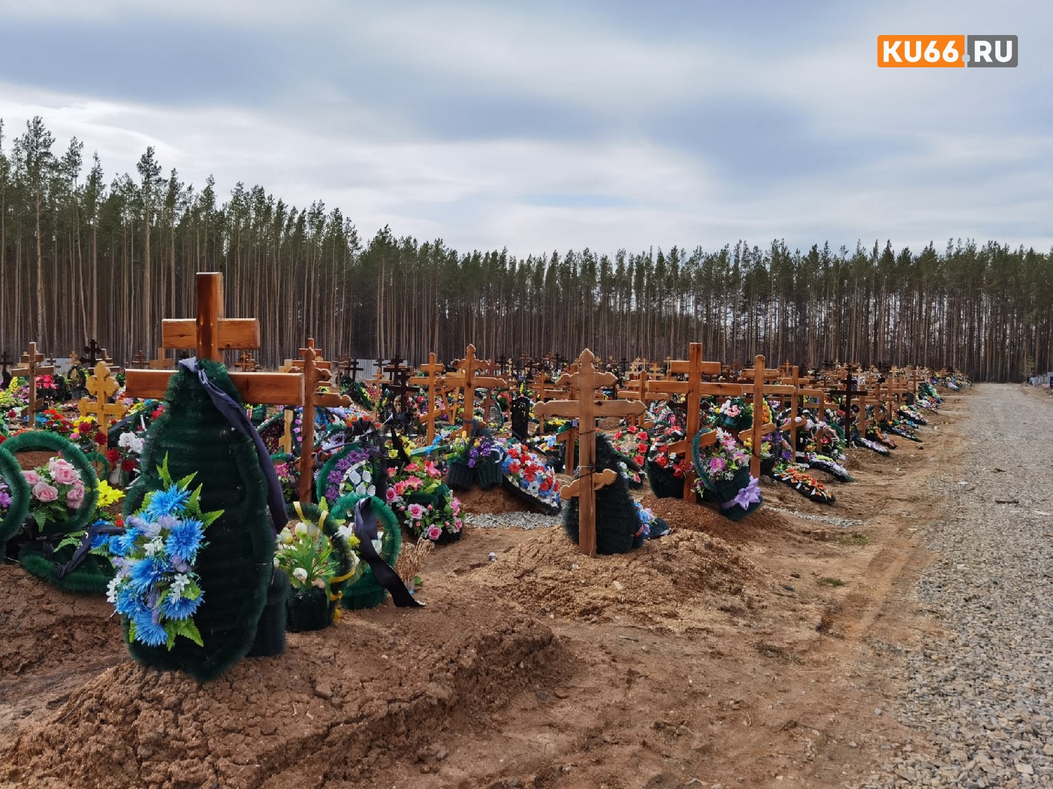 Врач Новоселов назвал главную причину сокращения числа пенсионеров на 404 тысяч