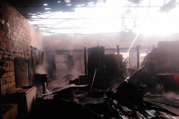 «Все собаки живы». Стало известно, что располагалось в сгоревшем ангаре под Каменском-Уральским