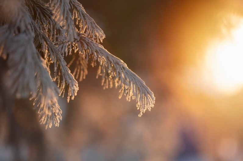 Арктический холод отступит: синоптик Пулин рассказал о погоде на Среднем Урале | Синоптик Пулин: на Среднем Урале ослабнет ветер и изменится погода