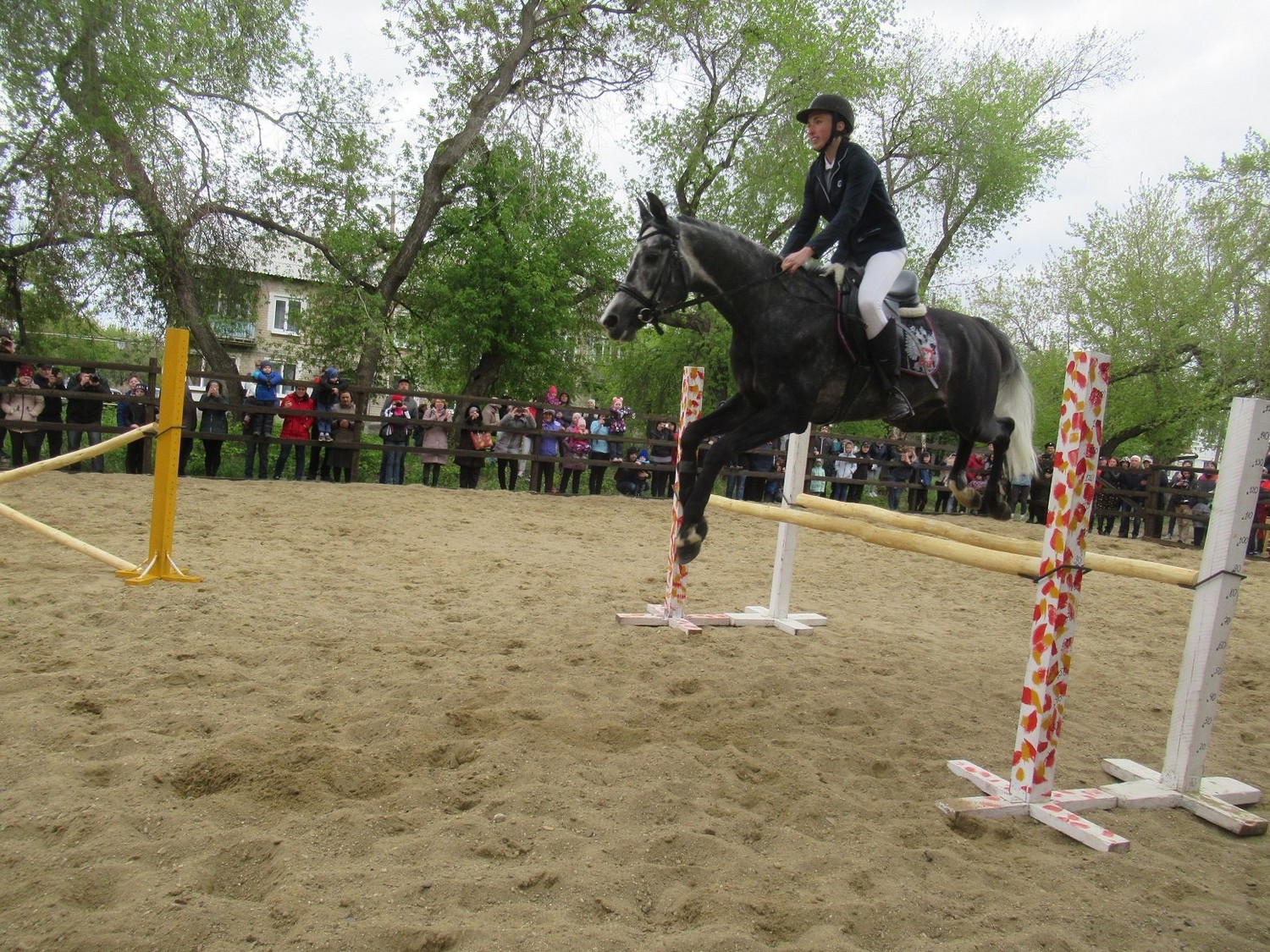 Не так уж часто в Каменске происходят события, способные приятно удивить. На месте сараев по ул. Октябрьской на днях скакали лошади!