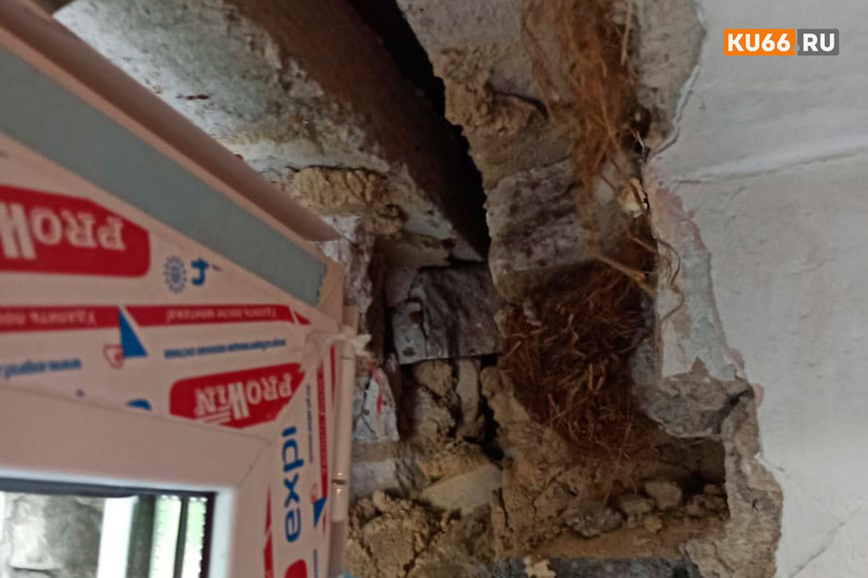 «Это не шутка». Женщина купила квартиру в доме, но жить в ней не может — отошла стена фасада. В Фонде капремонта хозяйку игнорируют «Это не шутка». Женщина купила квартиру в доме, но жить в ней не может — отошла стена фасада. В Фонде капремонта хозяйку игнорируют