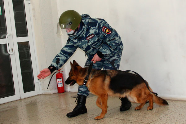 Школы в Каменске-Уральском плохо защищены от террористов: металлоискатели мало где есть, охрана ЧОП не везде организована. Что сказал мэр?