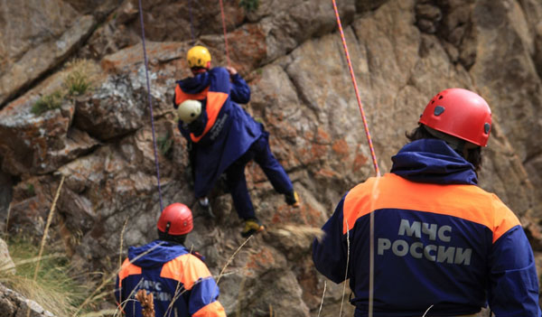 Заблудились в чаще: за полгода в лесах Свердловской области пропали 85 человек | В Свердловской области за шесть месяцев 2025 года в лесах потерялись 85 человек