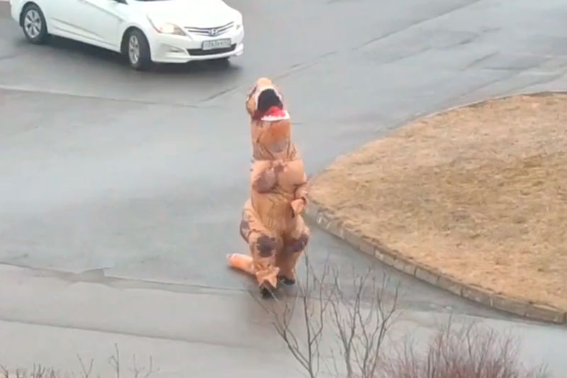 Вынесший мусор в костюме динозавра житель Всеволожска стал звездой Сети