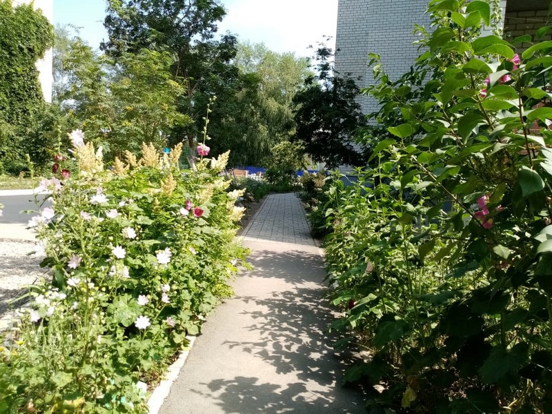 Жители поблагодарят пенсионерку, которая долгие годы поддерживает порядок во дворе дома по ул. Зои Космодемьянской в Каменске-Уральском Жители поблагодарят пенсионерку, которая долгие годы поддерживает порядок во дворе дома по ул. Зои Космодемьянской в Каменске-Уральском