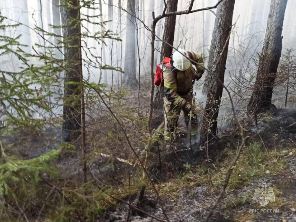В лесах Свердловской области отменён противопожарный режим ЧС