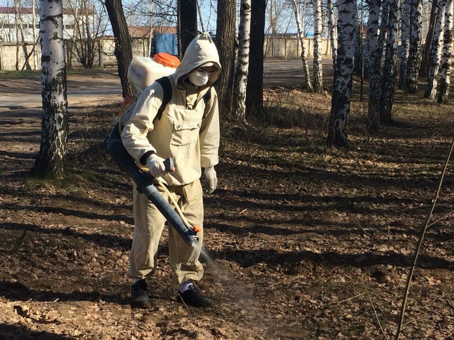 В Каменске-Уральском активно травят клещей: обработали лесопарки, кладбища и почти весь Синарский район. Вот-вот возьмутся за Красногорку