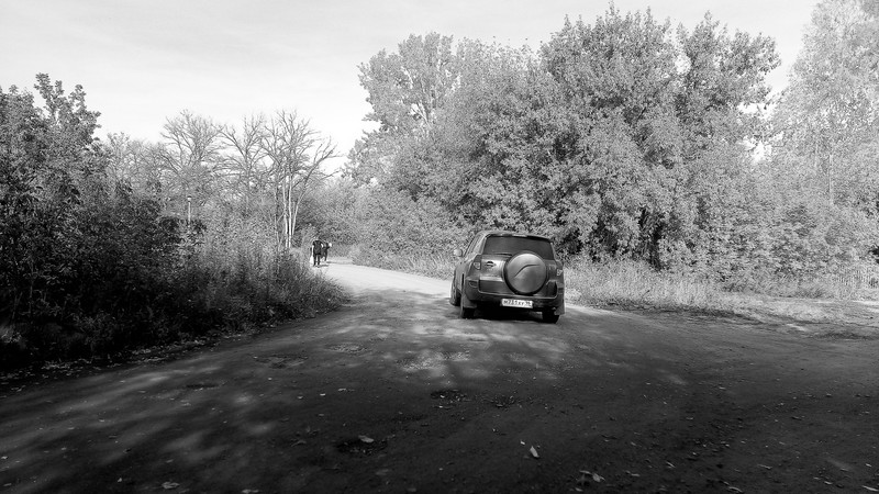 «В сырую погоду просто месиво становится». Жители пос. Лесхоз Каменска-Уральского — об условиях, в которых живут. Властям, говорят, писали