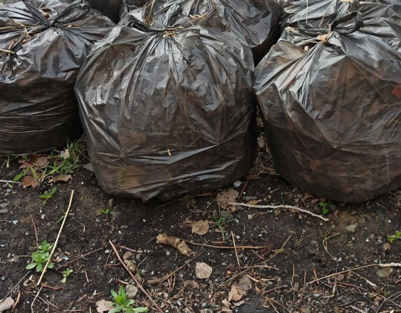 В Каменске-Уральском продолжаются весенние субботники