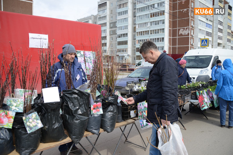 Жителей Каменска-Уральского позвали на традиционную осеннюю выставку-продажу: здесь будет все от овощей и ягод до рыбы, мяса и текстиля
