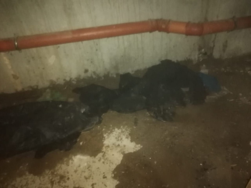 Каменские пожарные назвали причину пожара на проспекте Победы