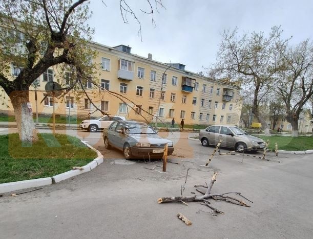 В Каменске-Уральском из-за сломанного дерева пострадал автомобиль | На Урале из-за сломанного дерева пострадал автомобиль