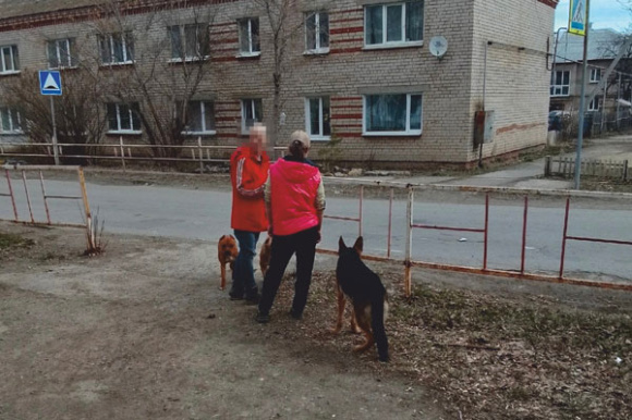 В Каменске-Уральском жители опознали хозяев собак, которых обрекли на смерть В Каменске-Уральском жители опознали хозяев собак, которых обрекли на смерть