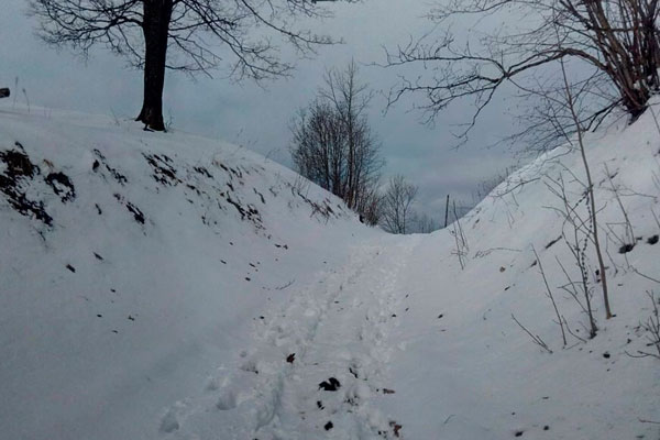 Замёрзшая под Саратовом девочка перенесла клиническую смерть