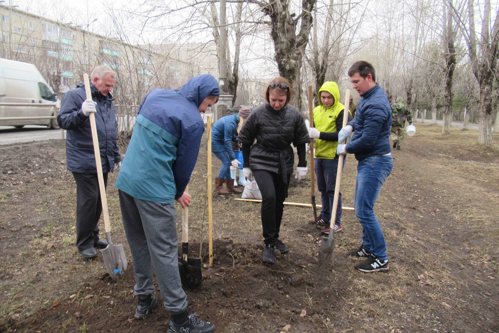 Очередную порцию саженцев - на этот раз на гостевом маршруте - высадили в Каменске-Уральском. Депутат: "Горжусь Ленинским поселком"