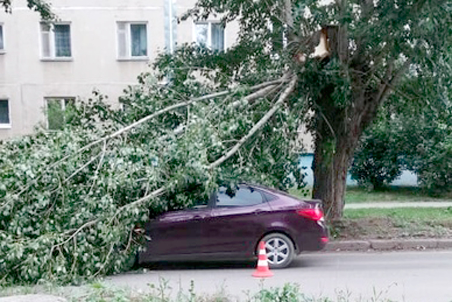Автомобиль получил повреждения, а ребенок сильно испугался: ветки дерева рухнули на иномарку у дома по ул.4-й Пятилетки в Каменске-Уральском