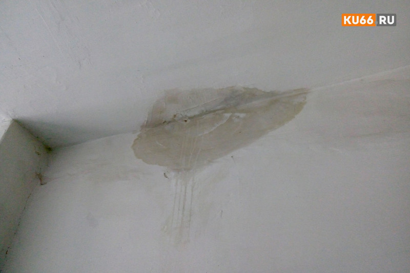 Перед новым годом в доме по улице Гоголя в Каменске начали ремонт подъездов. Говорят, благодарить надо одного жильца. За что?