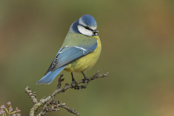 Что не стоит делать, чтобы не оказаться бездомным: народные приметы на 28 декабря