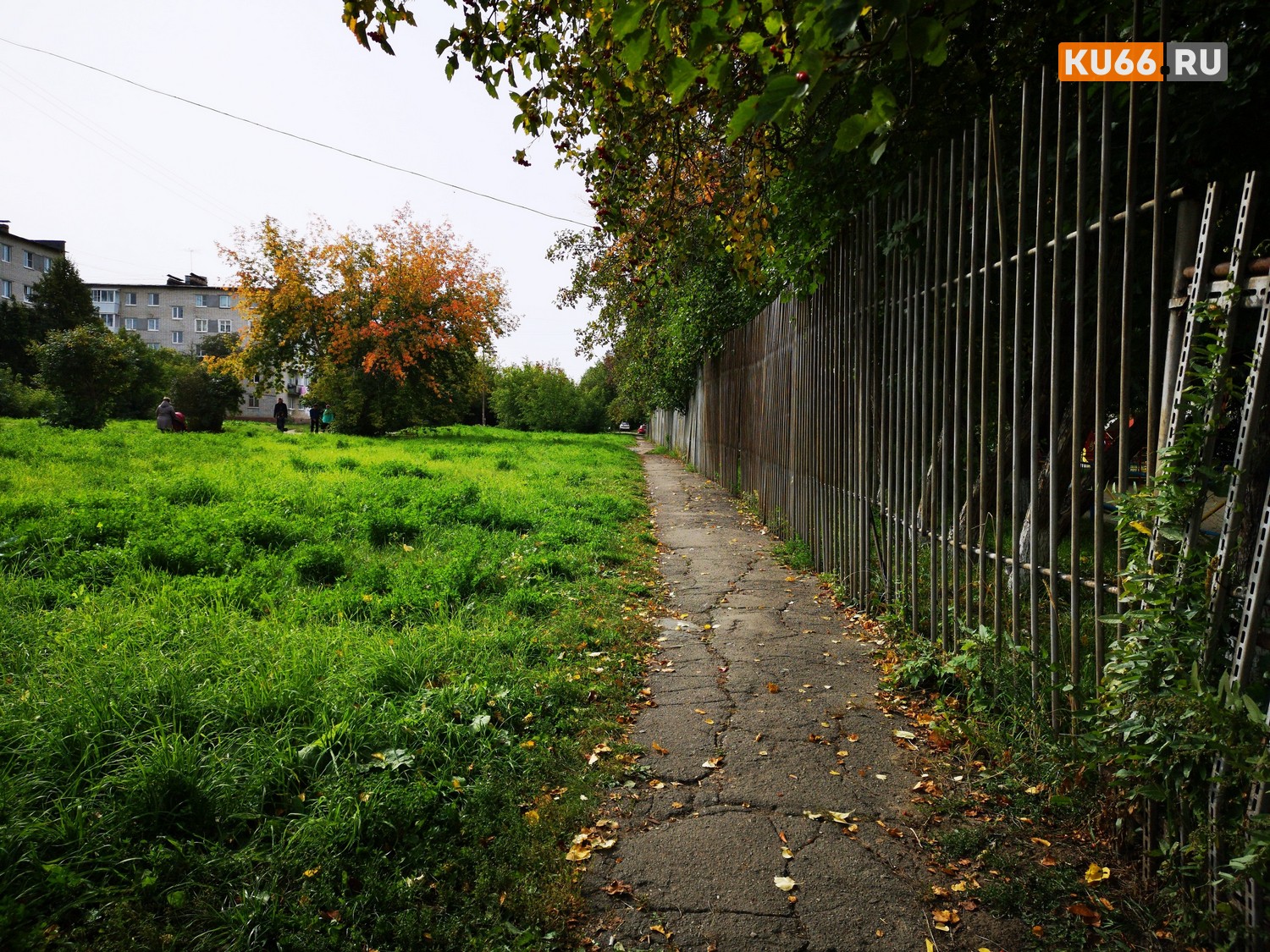 Это убийство: смерть мужчины, чье тело нашли у детсада в Каменске-Уральском, насильственная. Погибшему было 40 лет, на месте — следы крови