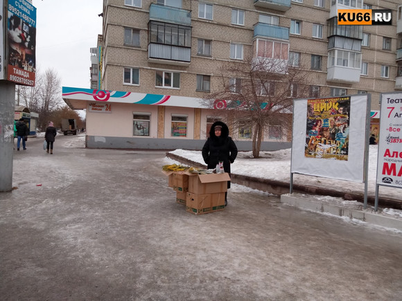 Где купить красивые цветы для любимых женщин в Каменске-Уральском. Спешите, праздник уже завтра. ФОТО