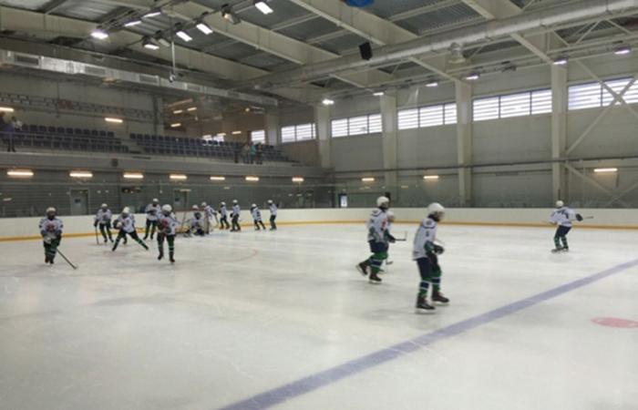 Тренировка закончилась трагедией: школьник скончался прямо на льду | В Асбесте во время тренировки умер 14-летний хоккеист