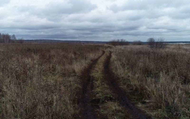 В Свердловской области проверили использование земель сельхозназначения | В Свердловской области нашли заброшенные 100 гектаров сельхозземель