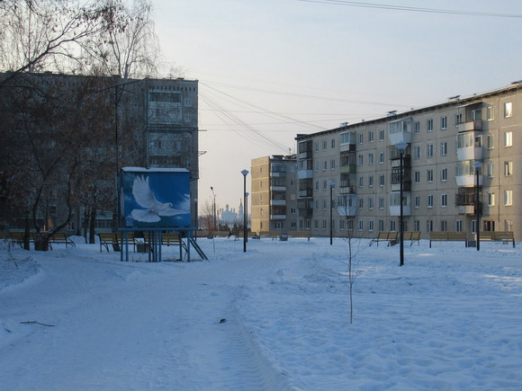 Владельцы собак активно загаживают Тимирязевский парк в Каменске-Уральском. «Представляю, что там будет к апрелю…»