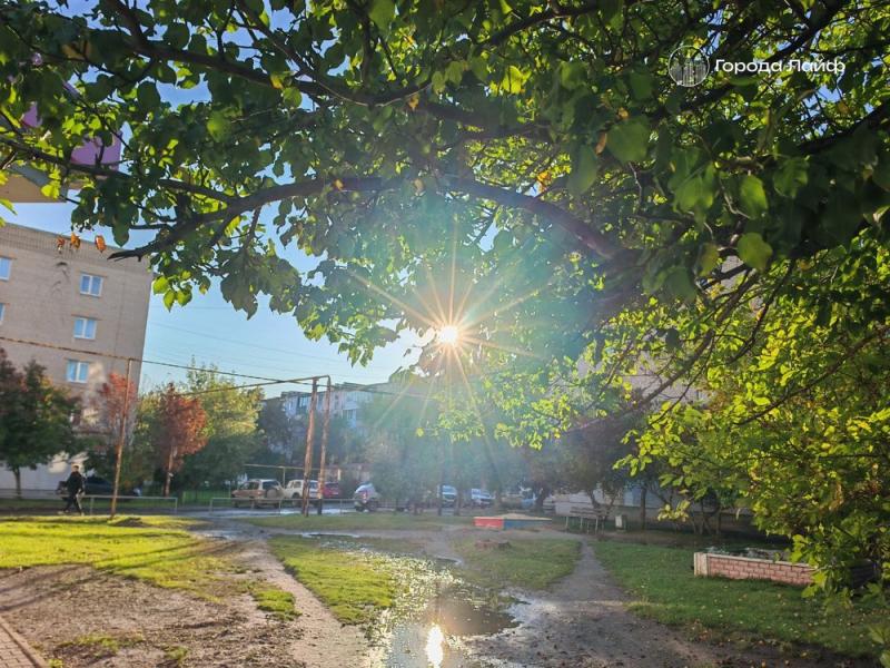 Зима передумала наступать и ушла: синоптики обещают на Урале +10 градусов и солнышко | Антициклон принесет в Свердловскую область ясные дни и осеннее тепло