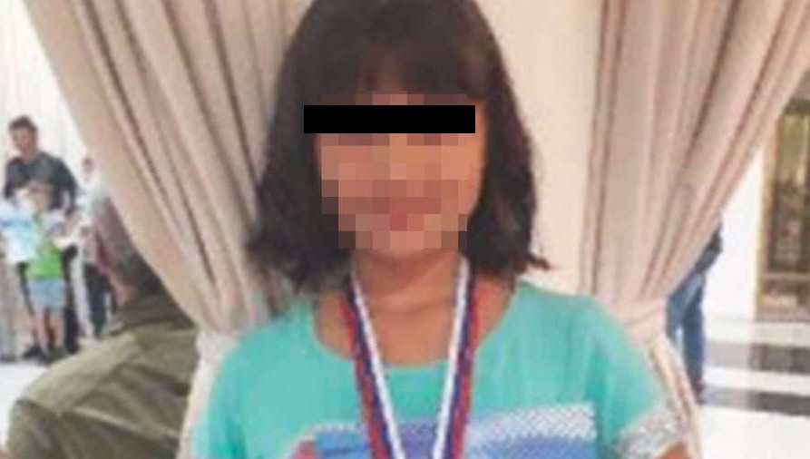 В суд отправили дело владельца овчарок, загрызших 12-летнюю шахматистку в Сочи