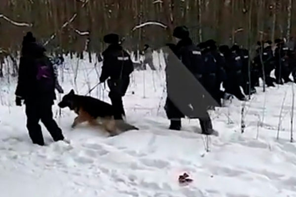 Сбежала от мужа голой в тапочках. Женщина заживо замерзла в лесу после неудачной шутки супруга