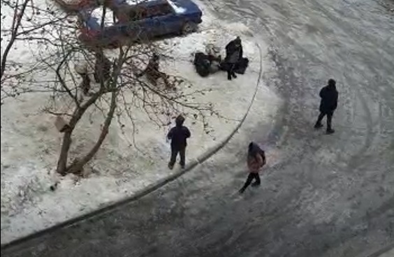 Госавтоинспекторы в Каменске-Уральском начали спецоперацию, которая будет проходить три месяца. Все ради катающихся с горок детей Госавтоинспекторы в Каменске-Уральском начали спецоперацию, которая будет проходить три месяца. Все ради катающихся с горок детей