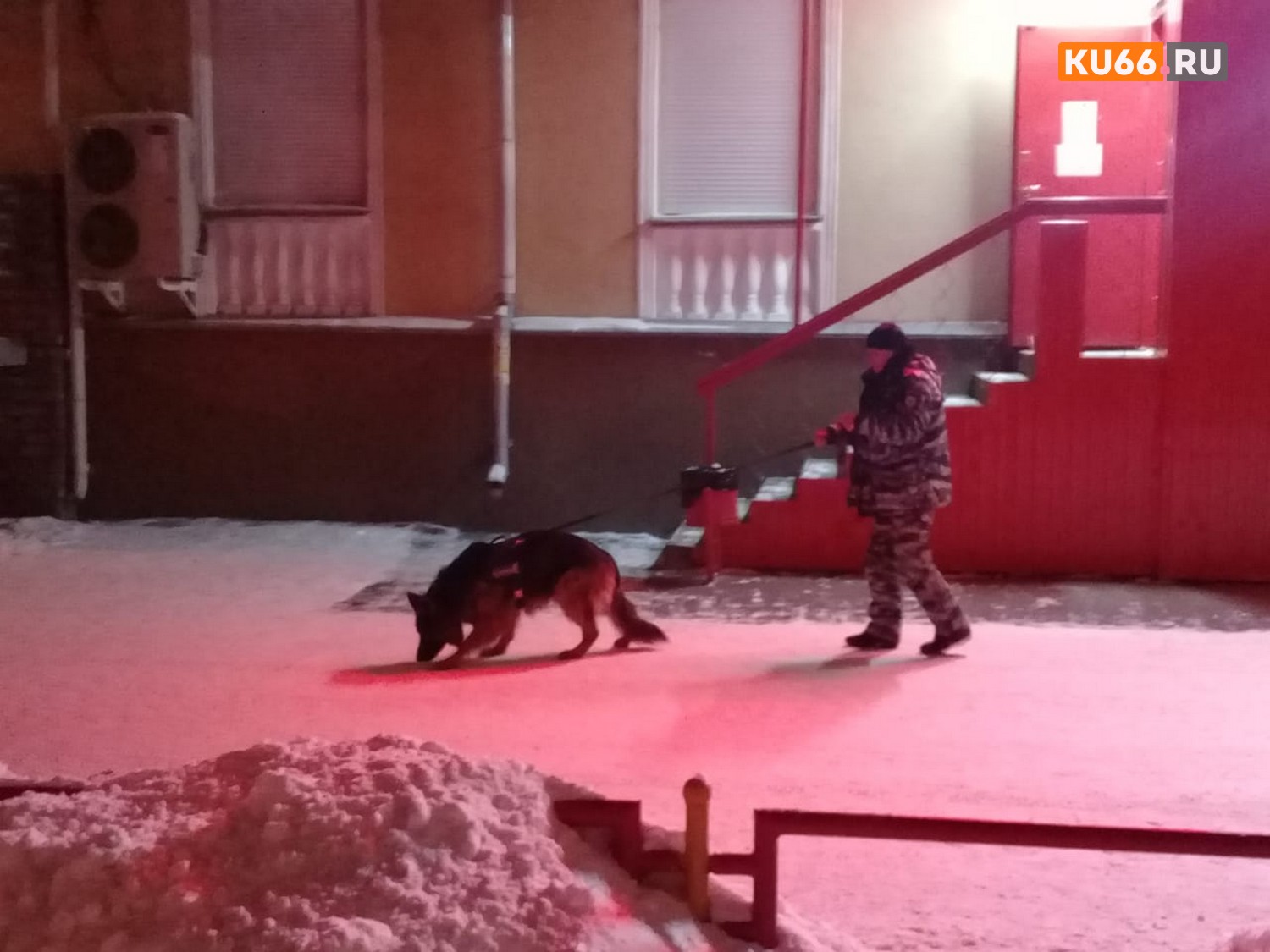 Двое мужчин кавказской внешности с ножом напали на продавца магазина в Каменске-Уральском, похитив деньги и видеокамеру