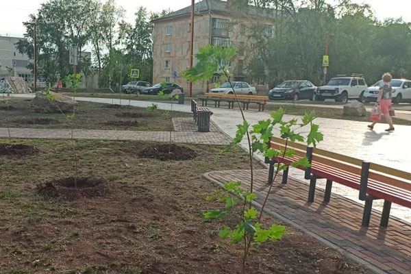 На БПК в Каменске-Уральском высадили пару сотен саженцев кленов, ивы и лапчатника. Если вандалы не вырвут, скоро там будет красота!