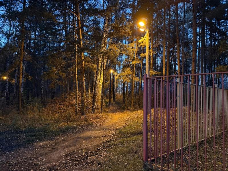 «Вопрос решился»: в Каменске-Уральском вернули свет на темной дорожке через лес | В Каменске-Уральском восстановили освещение на лесной пешеходной дорожке