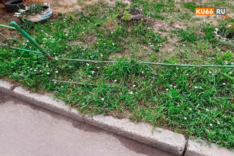 «Месяц мучений обеспечен». Шестилетняя девочка сломала лодыжку, запнувшись о валявшийся в траве забор у дома по ул. 4 Пятилетки