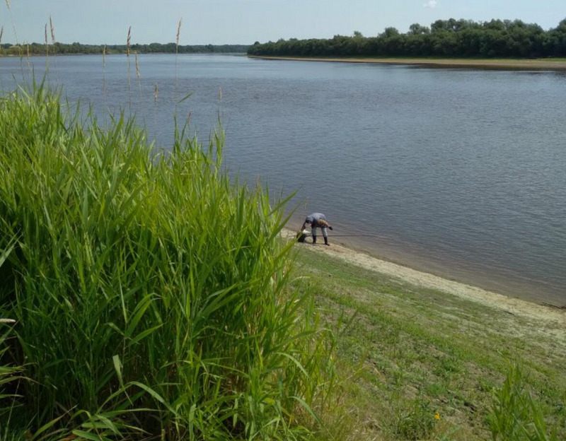 Умерли в один день от остановки сердца: стали известны подробности смерти семьи рыбаков в Тавде | На Урале муж и жена скончались на рыбалке из-за проблем с сердцем