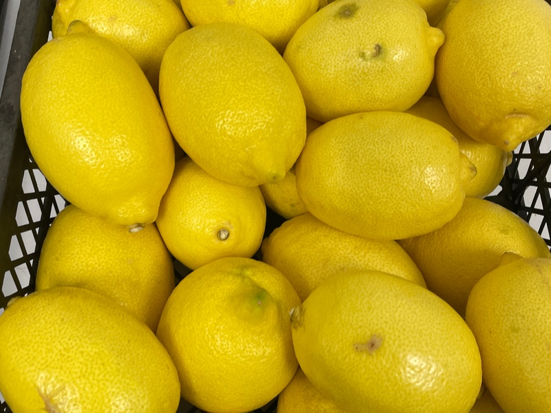 В Свердловскую область завезли 20 тонн заражённых лимонов из Турции — товар уже на полках наших магазинов | Турецкие лимоны с красной померанцевой щитовкой поступили в Екатерибург