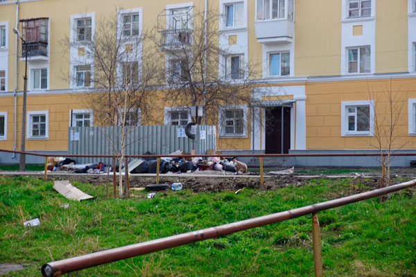 Мусорщики жалуются на работников шиномонтажек, которые тащат резину во дворы каменских домов. Что делать, если помойка переполнена?