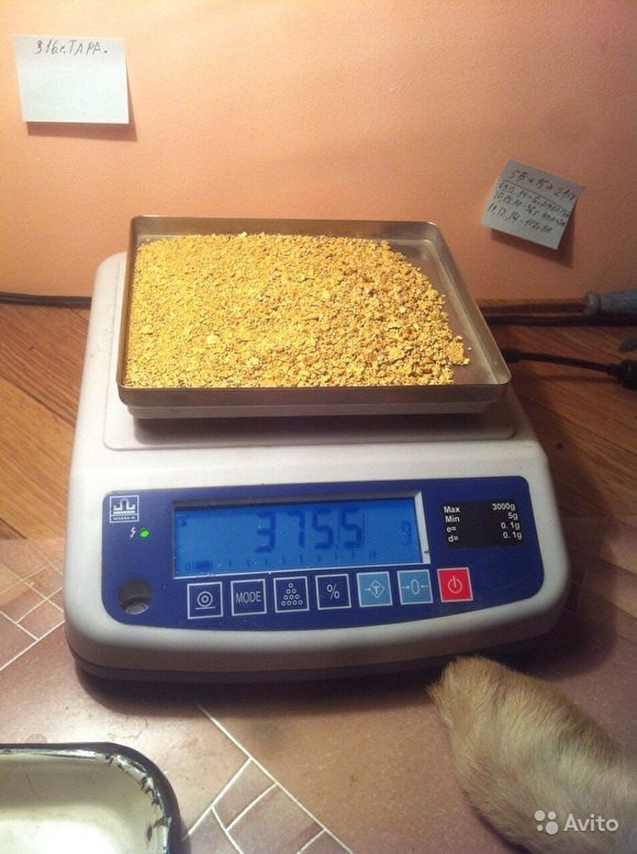 В Свердловской области продается месторождение золота за 95 млн рублей