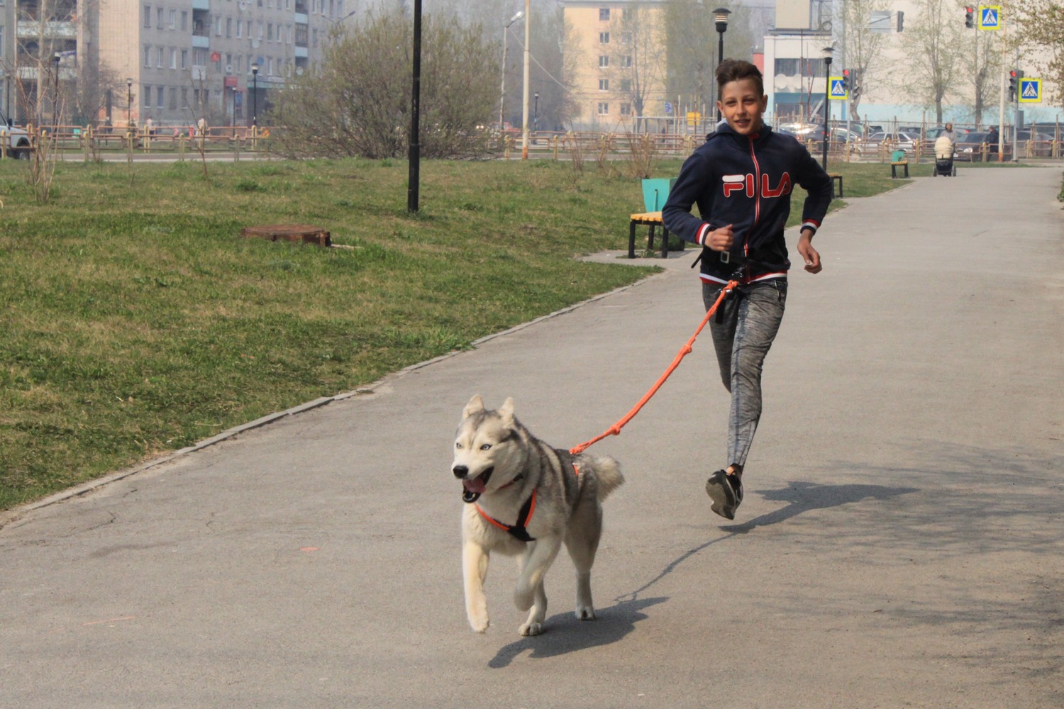 Все о хаски узнали жители Каменска-Уральского на фестивале ездового спорта. Почему люди, поддавшись эмоциям, отказываются от щенков?