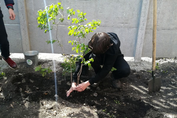 «Зеленые мечты школьного двора» сбываются с РУСАЛом