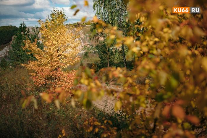 «Бабье лето» наступает! Свердловчан ждет целая неделя тепла | В Свердловскую область идет «Бабье лето»