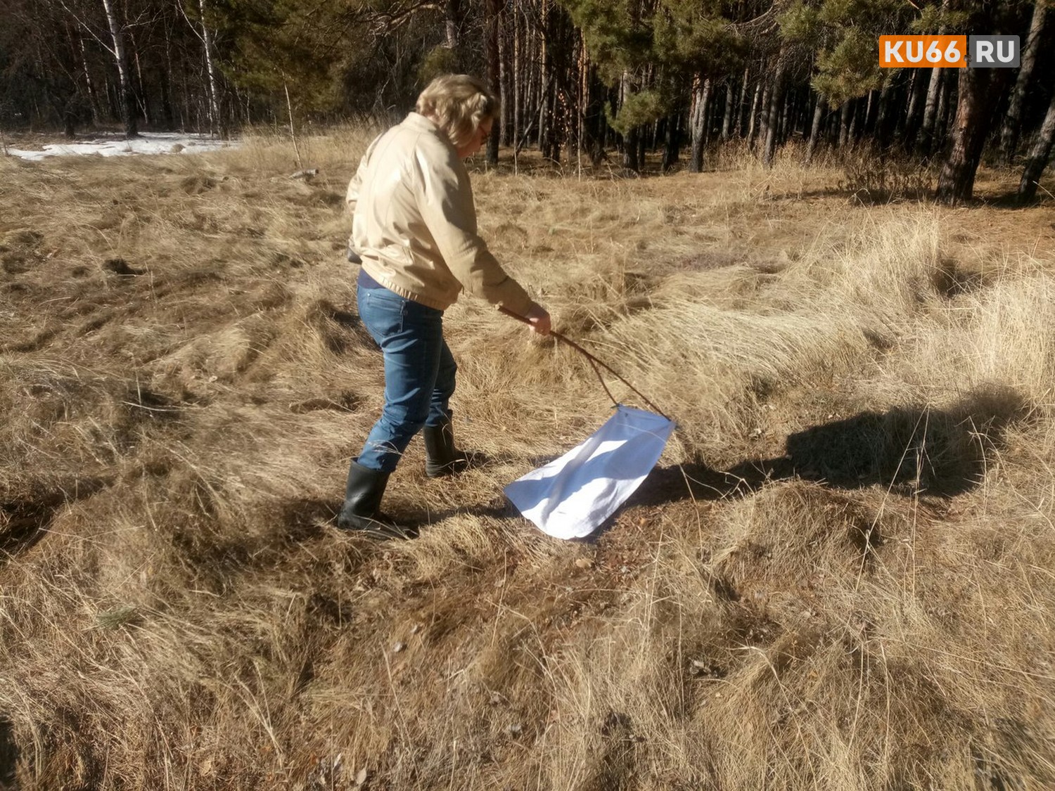 Чтобы уж наверняка. В Каменске-Уральском начали повторно обрабатывать общественные территории от клещей. Продолжат после дождей...