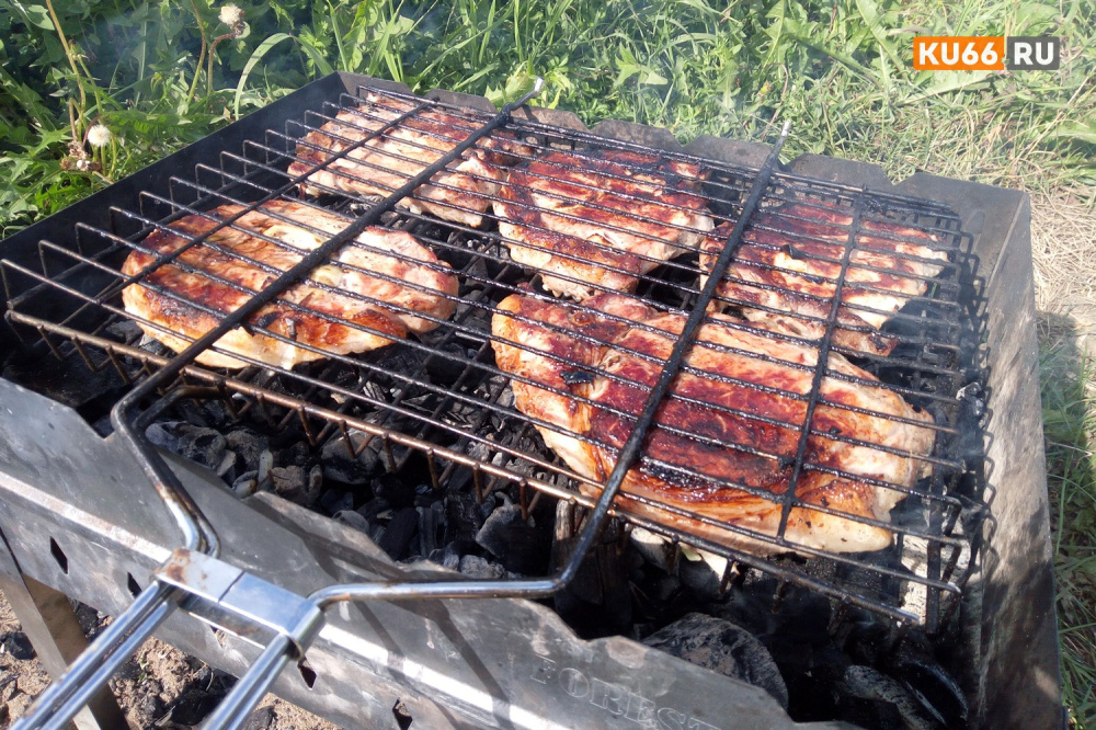 Как выбрать идеальное мясо для шашлыка: рекомендации экспертов | На что обратить внимание при выборе мяса для идеального шашлыка