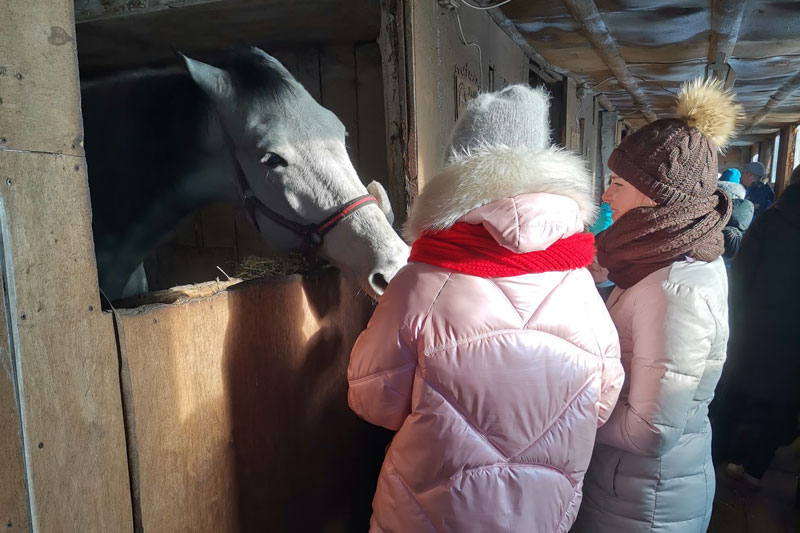 Покормить лошадей, оседлать их и сфотографироваться в стоге сена: воспитанники детдома из-под Каменска-Уральского побывали в конном клубе