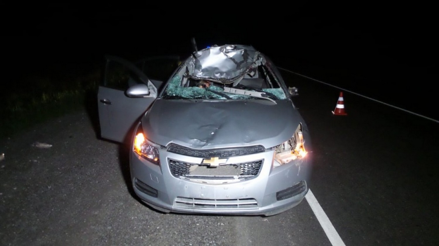 На трассе между Екатеринбургом и Каменском-Уральским легковушка сбила лося. Погибла женщина. «Крышей буквально срезало голову...»