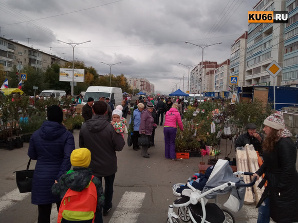 Мед из Башкортостана, караси с Сунгуля. Ярмарка «Дары осени» прошла в Каменске-Уральском. ВИДЕО, ФОТО Мед из Башкортостана, караси с Сунгуля. Ярмарка «Дары осени» прошла в Каменске-Уральском. ВИДЕО, ФОТО