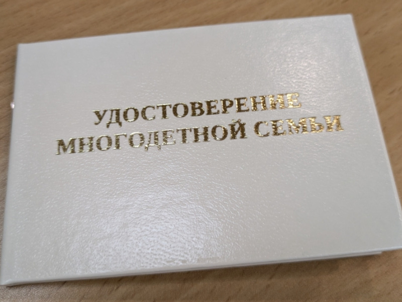 В Каменске-Уральском почти сто семей, где воспитывают пять и более детей