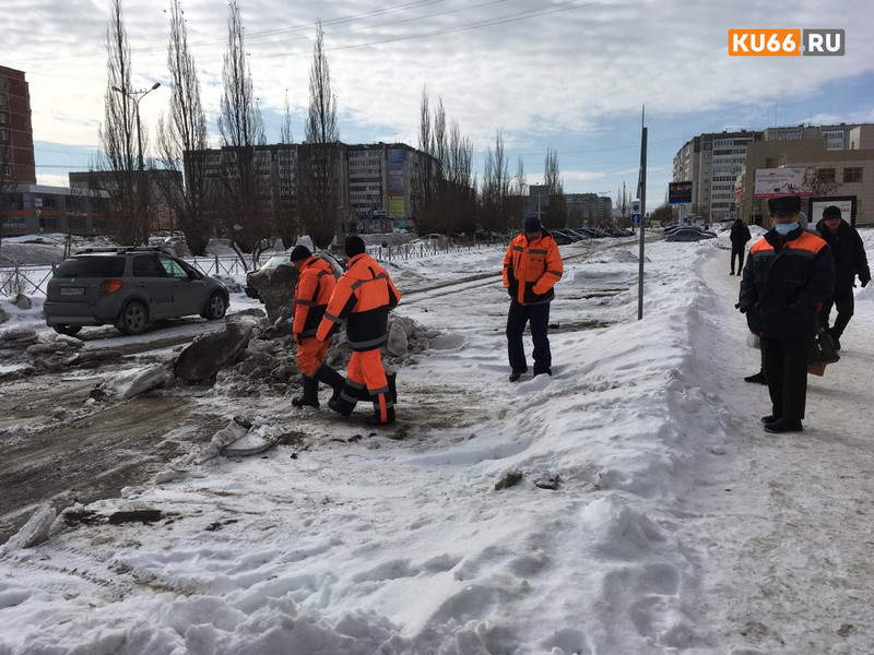 «Снег валят прямо на кусты». Коммунальщики Каменска уничтожают аллею чернобыльцев и маяковцев, сгребая грязь с дублера ул. Суворова